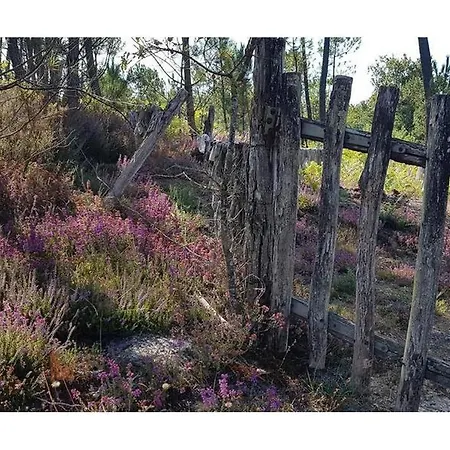 Lou Barado بيت للعطل